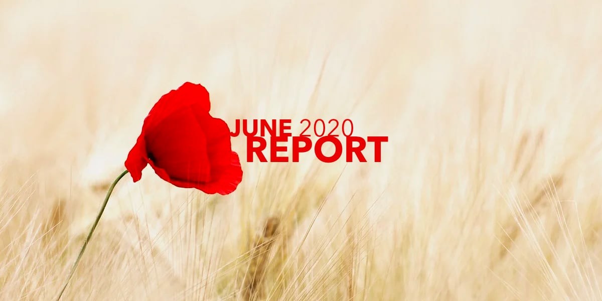 June report 2020