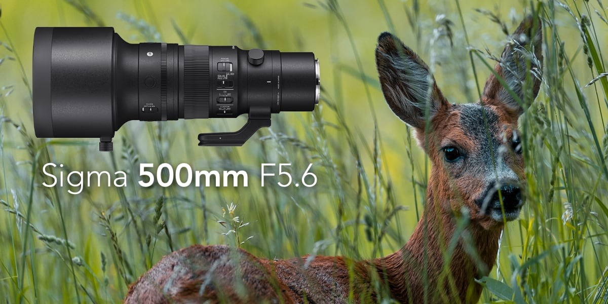 Recenzia Sigma 500mm F5.6 L-Mount