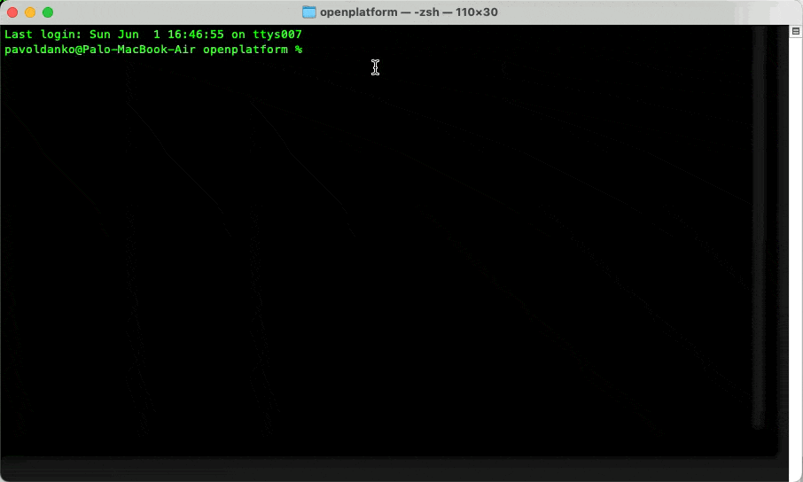 Run OpenPlatform